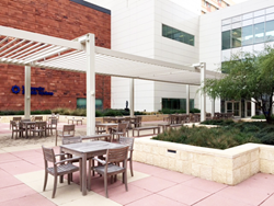Picture showing one of two gardens available to patients at University Hospital.