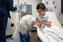 University Health PAWS UP Pet therapy program in action.