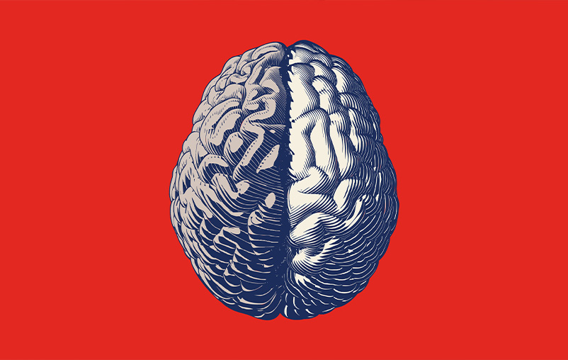 Black and white drawing of a brain on a red background.