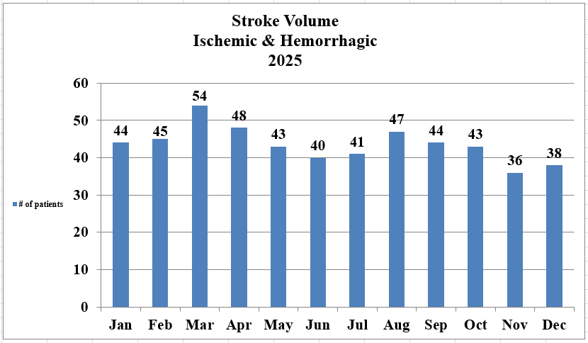 Chart of Stroke patient volume for 2025.
