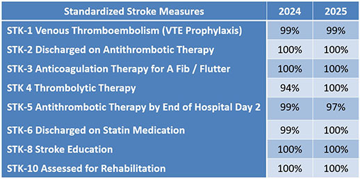 Table comparing standardized stroke measures for 2024 and 2025.