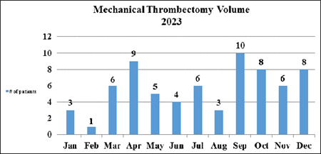 Mechanical Endovascular Reperfusion Therapy volume in 2021