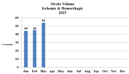 Chart of Stroke patient volume from Q1 to Q3 2024.