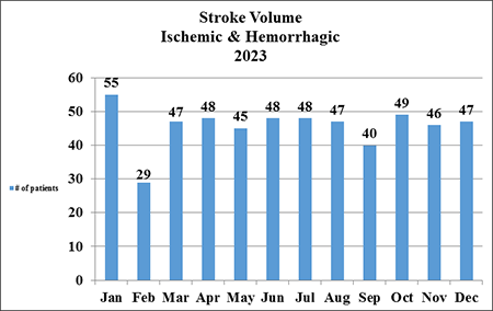 Chart of Stroke patient volume in 2021