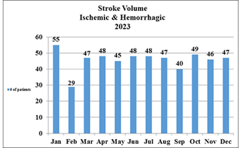 Chart of Stroke patient volume in 2021